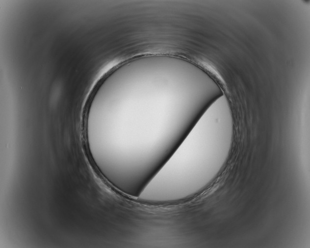 X0000087321087200704200734