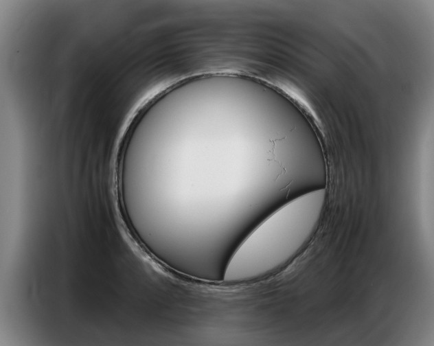 X0000087321088200704200734