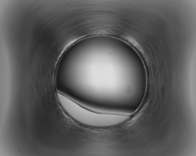 X0000087321089200704200734