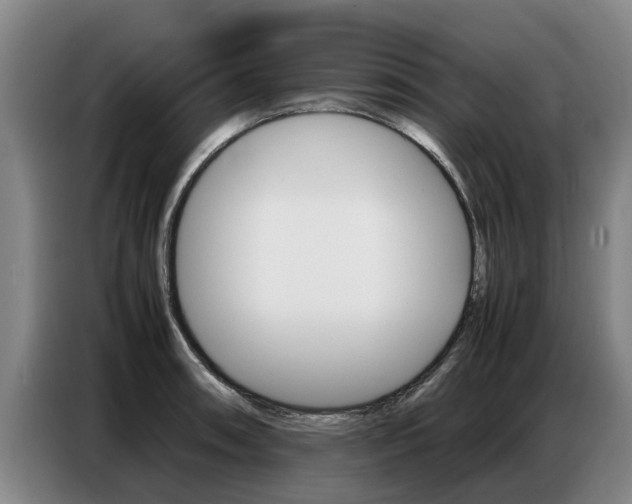 X0000087321090200704200734