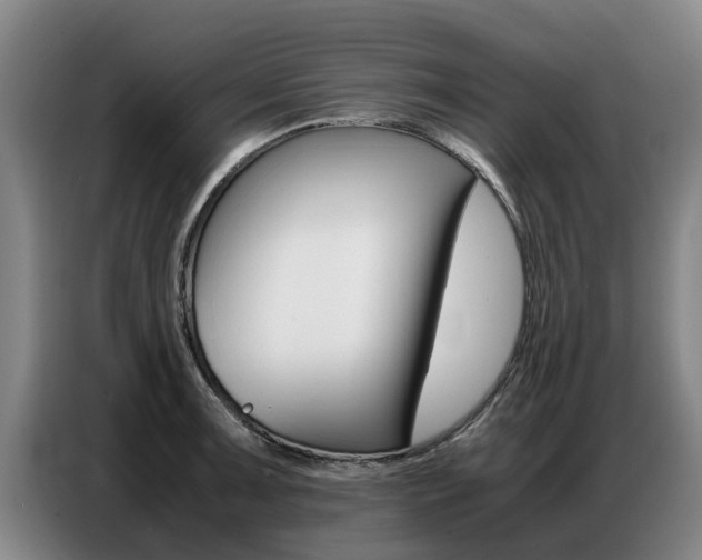 X0000087321091200704200734