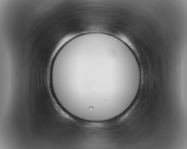 X0000087321094200704200734