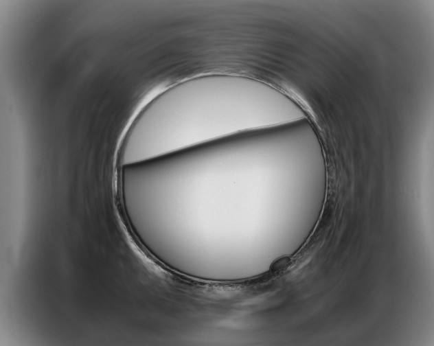 X0000087321095200704200734