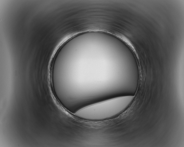 X0000087321096200704200734