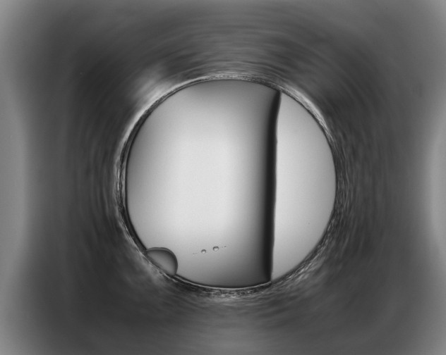 X0000087321099200704200734