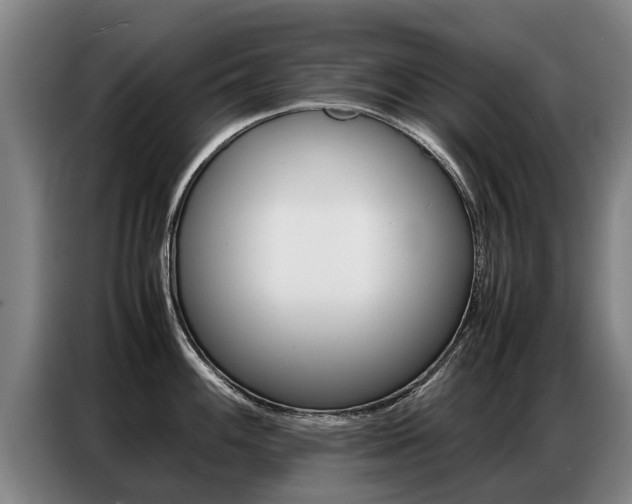 X0000087321100200704200734