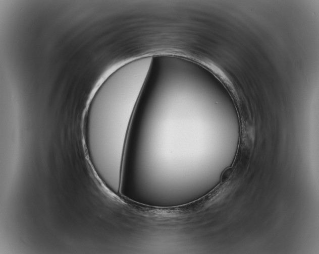X0000087321102200704200734