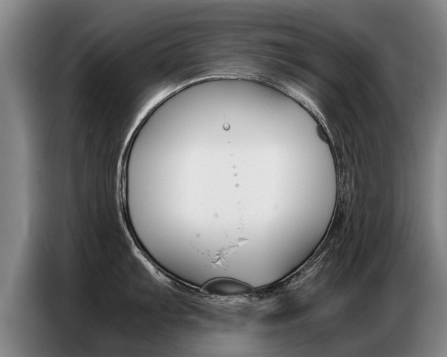 X0000087321103200704200734