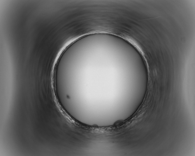 X0000087321104200704200734