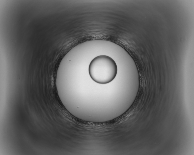X0000087321106200704200733