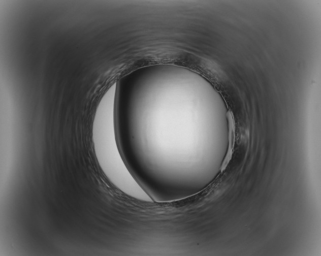 X0000087321108200704200733
