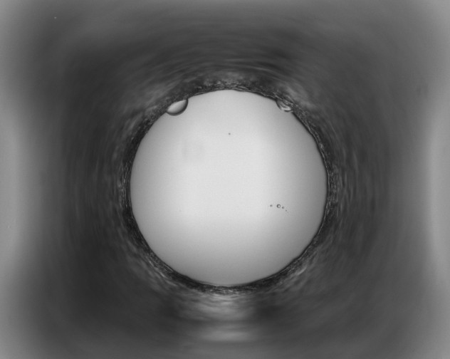 X0000087321109200704200733