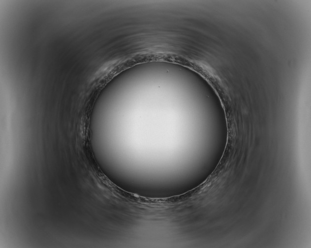 X0000087321110200704200733