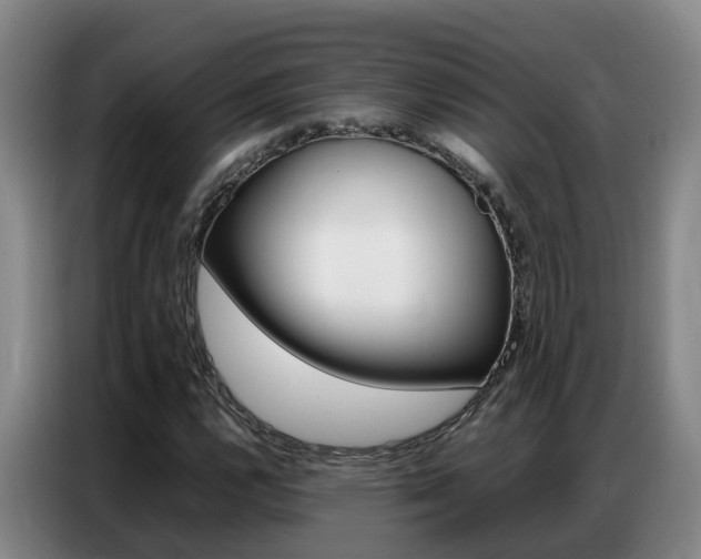X0000087321112200704200733