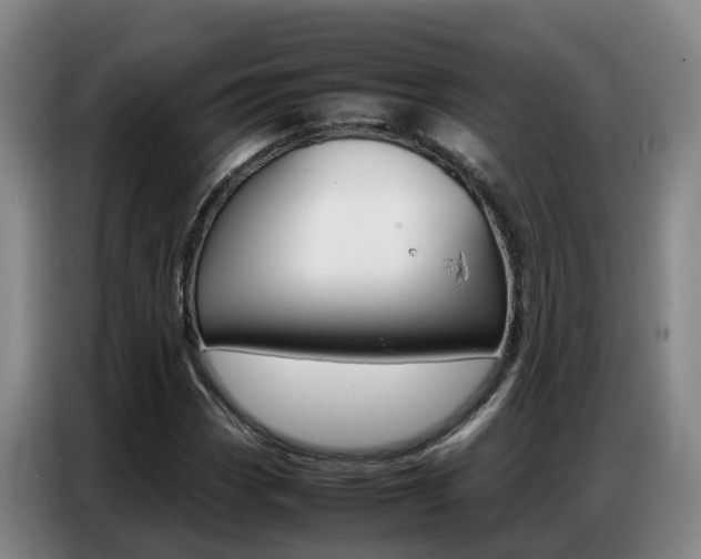 X0000087321113200704200733