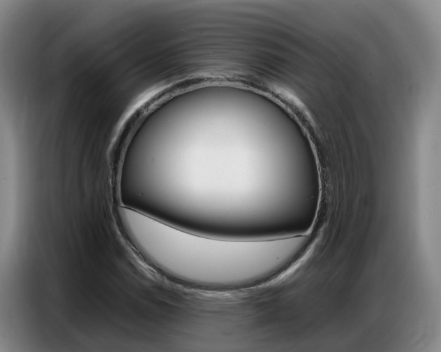 X0000087321114200704200733