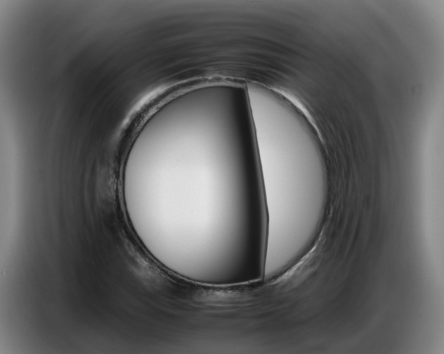 X0000087321115200704200733