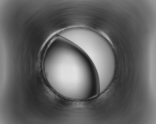 X0000087321116200704200733