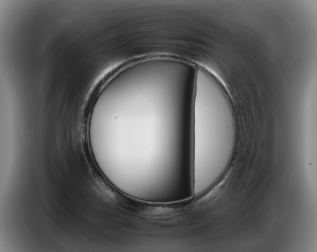 X0000087321119200704200733