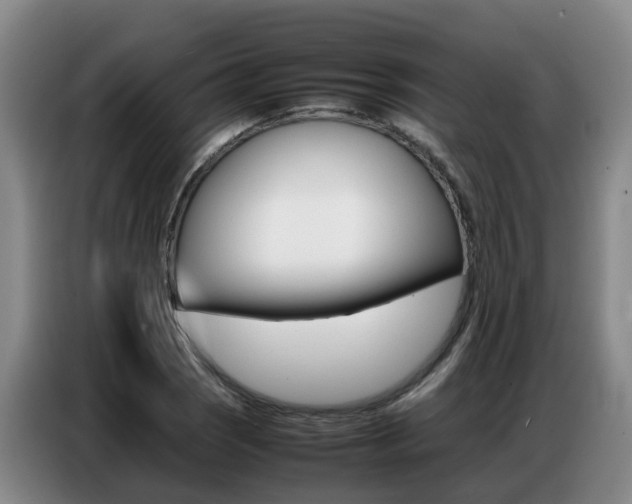 X0000087321121200704200733