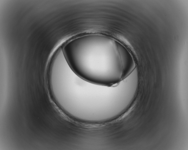 X0000087321122200704200733