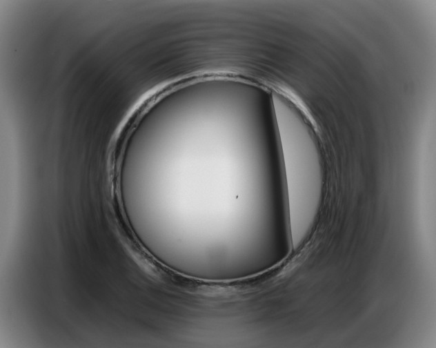 X0000087321124200704200733