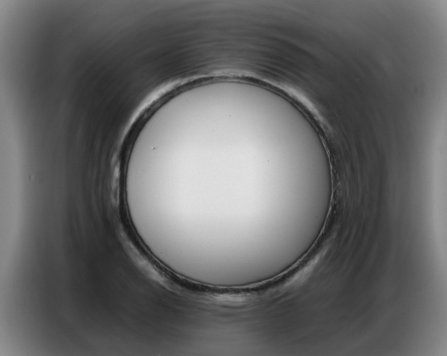 X0000087321126200704200733