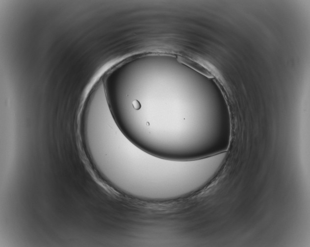 X0000087321128200704200733