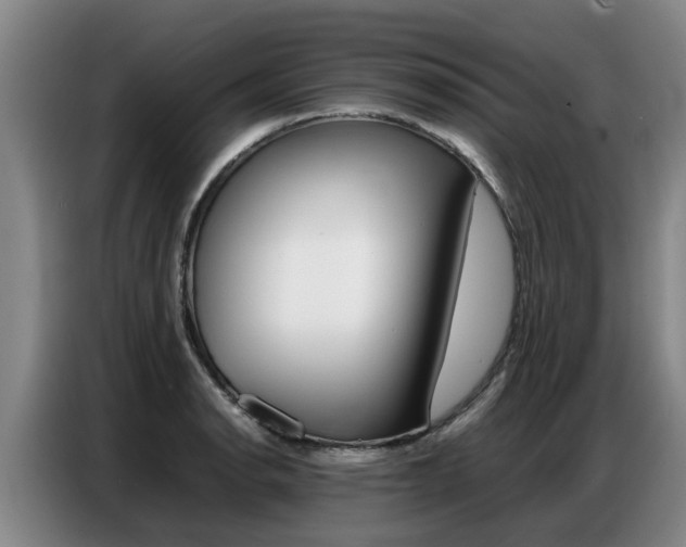 X0000087321134200704200733