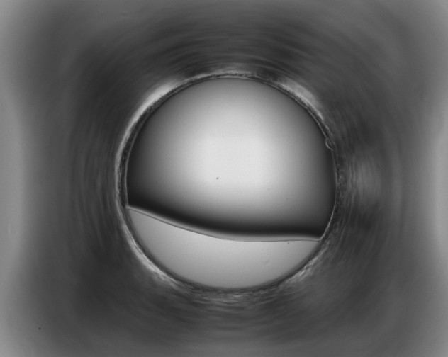 X0000087321135200704200733