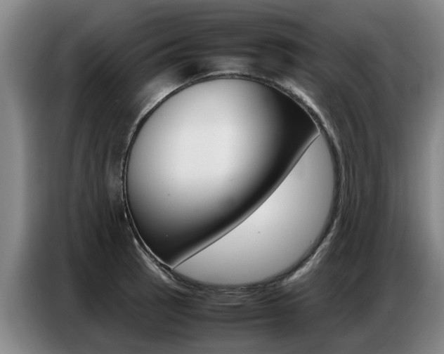 X0000087321137200704200733