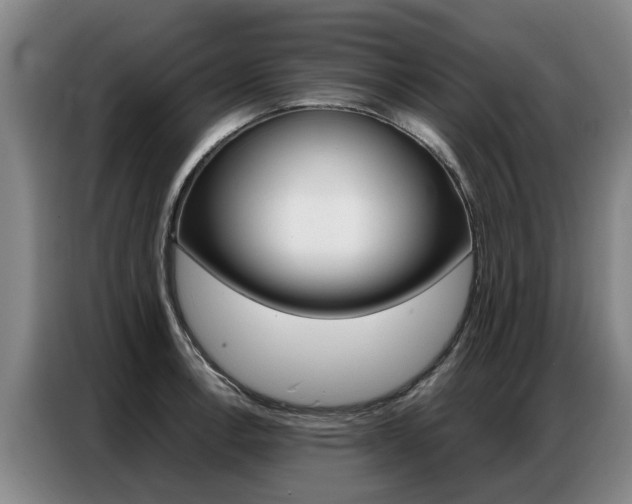 X0000087321138200704200733