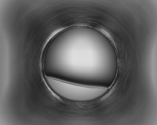 X0000087321141200704200734
