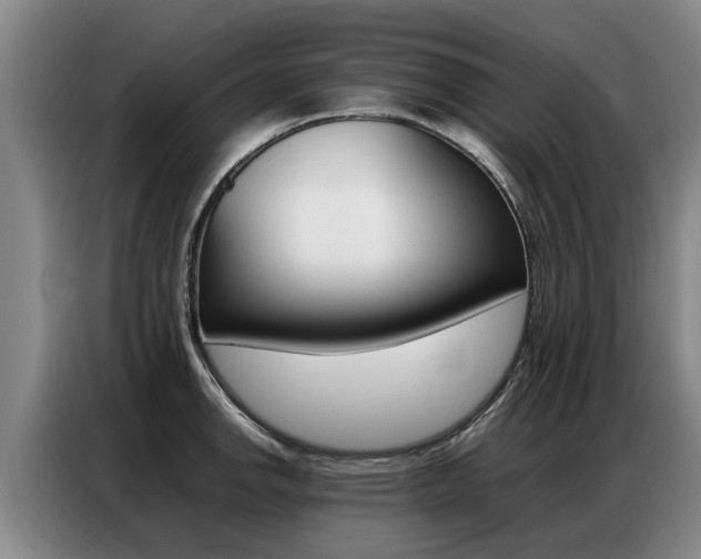 X0000087321142200704200734