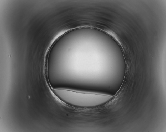 X0000087321143200704200734