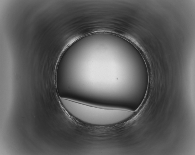 X0000087321145200704200734