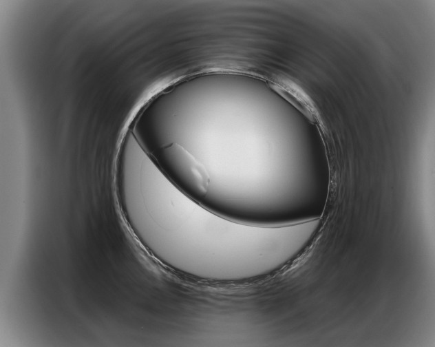 X0000087321146200704200734