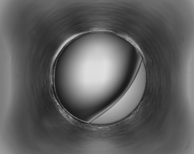 X0000087321148200704200734