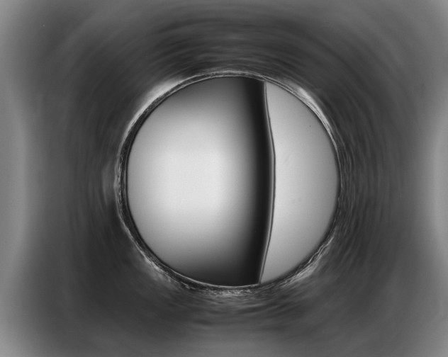 X0000087321149200704200734