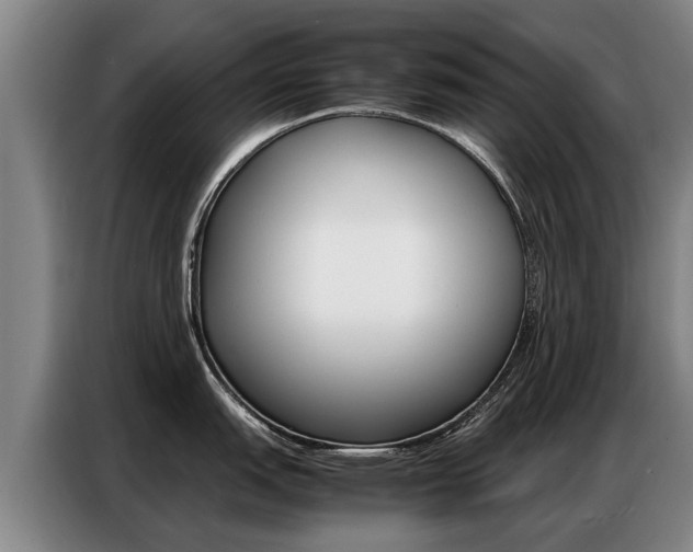 X0000087321151200704200734