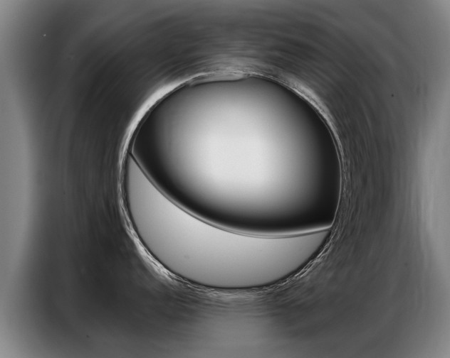X0000087321152200704200734