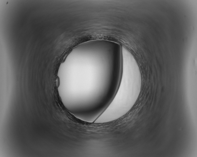 X0000087321153200704200733