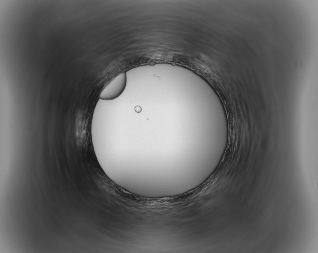 X0000087321154200704200733