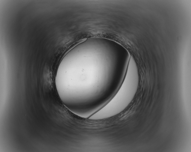 X0000087321156200704200733
