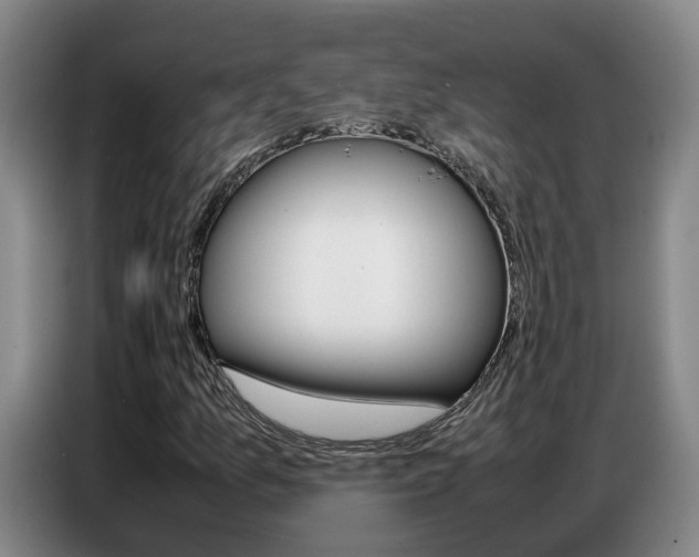 X0000087321157200704200733