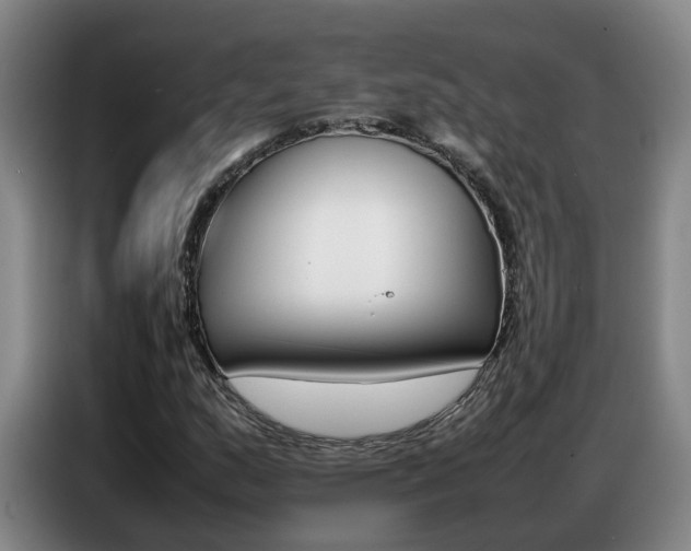 X0000087321159200704200733