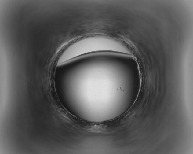 X0000087321160200704200733