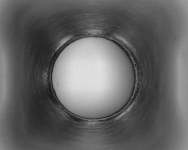X0000087321162200704200733