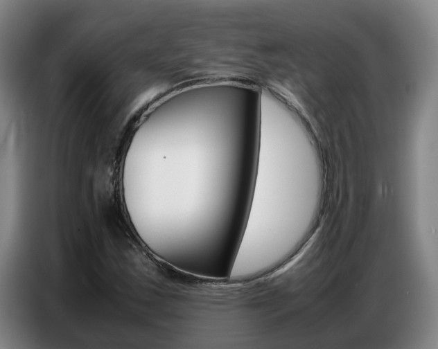 X0000087321163200704200733