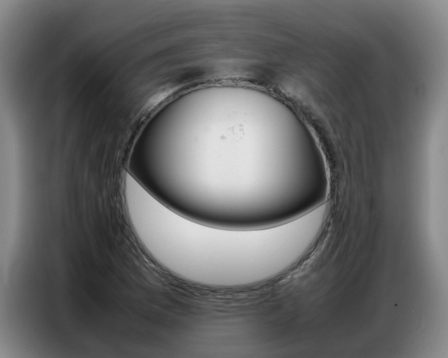 X0000087321169200704200733